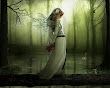 Beautiful Fairies