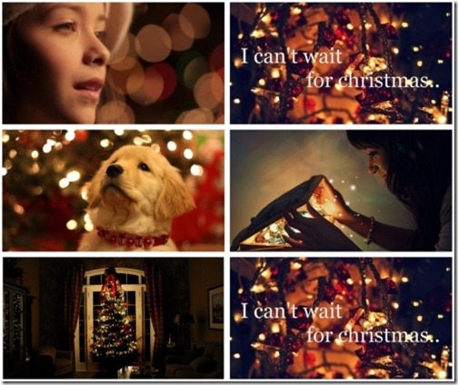 tumblr_lwh2nntxc81qea7hpo1_500_large