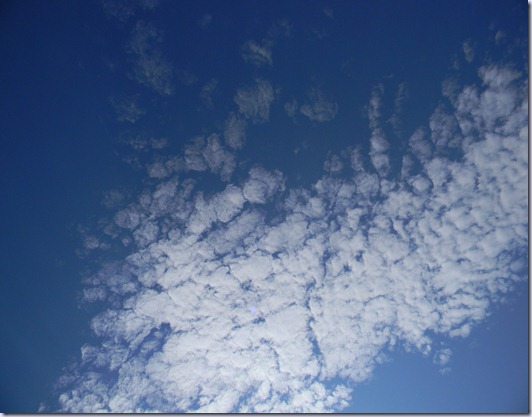 DSCN9708 DSCN9708