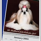 Ch. Hallmark Jolei Calendar Girl