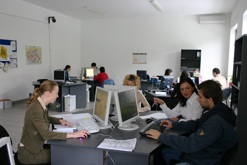 2006