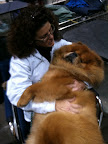 Jan, I'm exhausted!  I'm looking forward to sleeping on the way home.