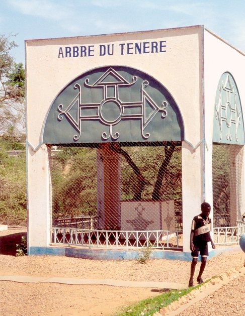 tree-of-tenere-3 tree-of-tenere-3