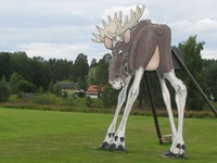 IMG_7026 IMG_7026