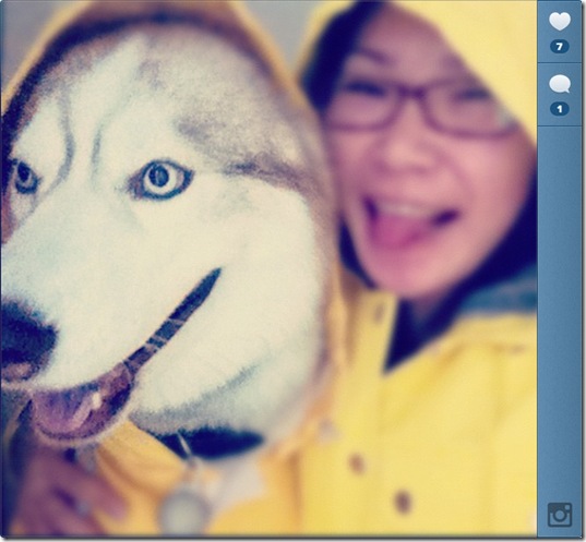 hurricane-sandy-dogs-17