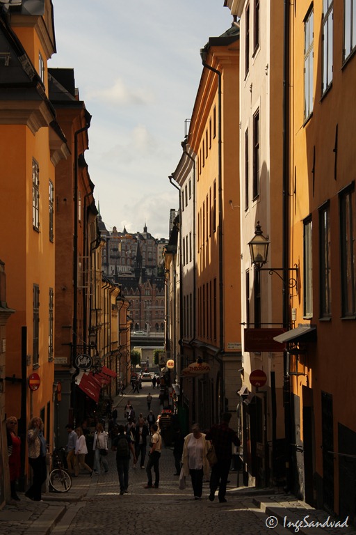 [IMG_3960%255B4%255D.jpg]