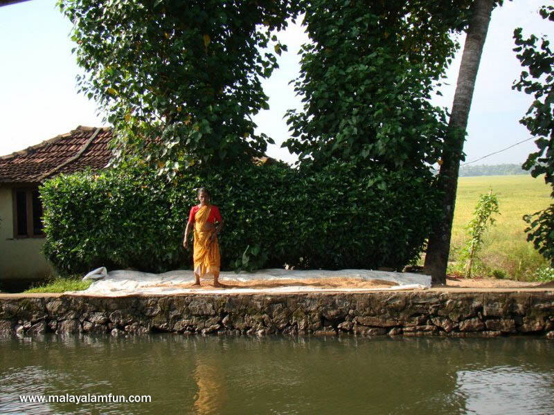 Oru Kuttanadan Yathra: The scenic view of Kerala(South India)