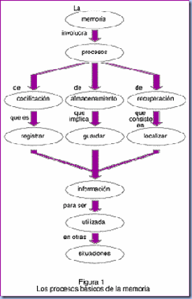 figura11 figura11