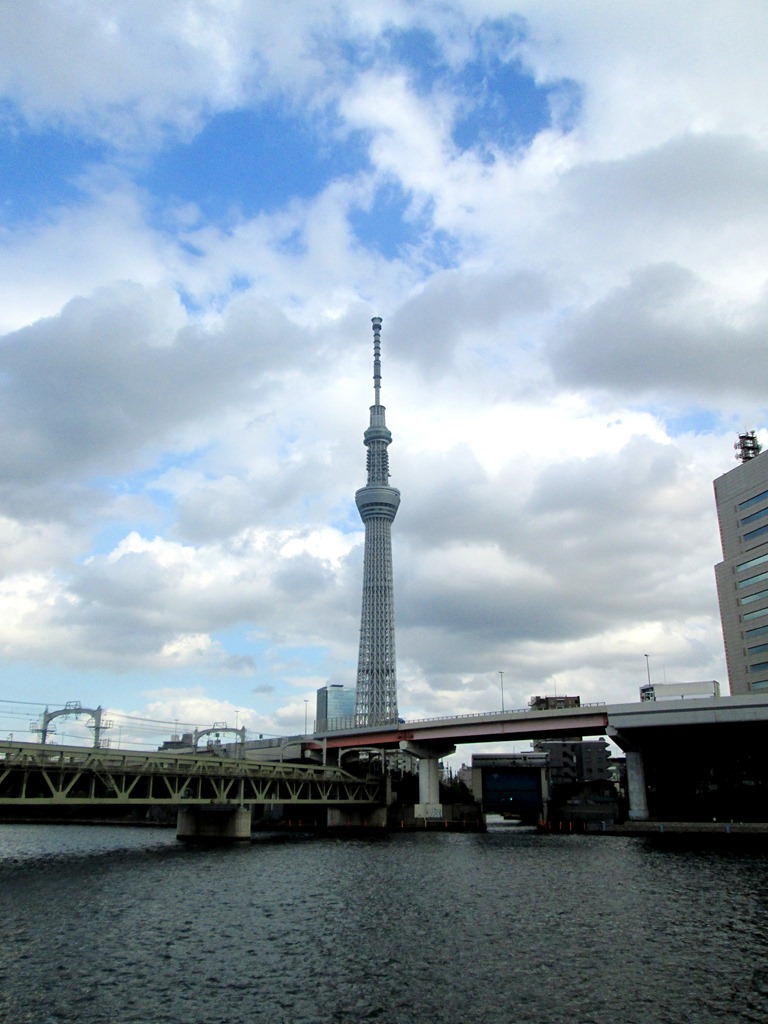 [IMG_20784.jpg]