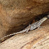 P1090444