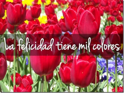 FRASES AMOR AIRESDEFIESTAS COM (16) FRASES AMOR AIRESDEFIESTAS COM (16)