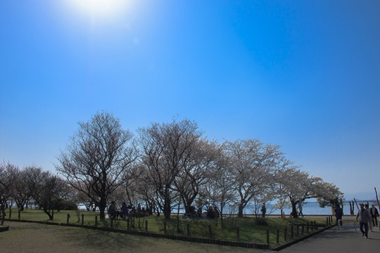 20140409-IMG_1036 20140409-IMG_1036