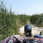 DSCN9648.JPG