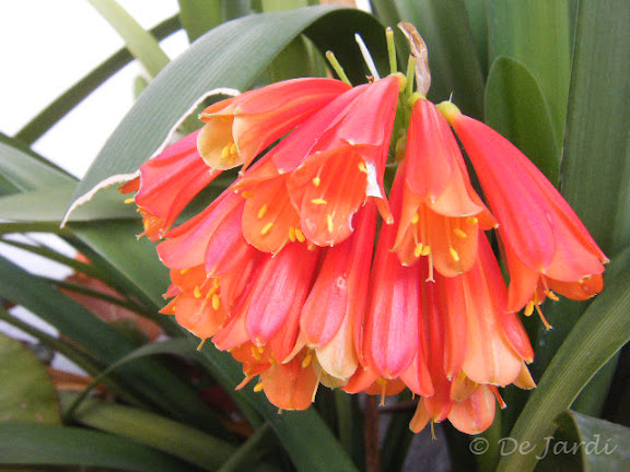 2013_01130084.jpg