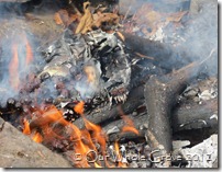 fire omen #1- faces fire omen #1- faces