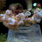 DSC_2105.jpg