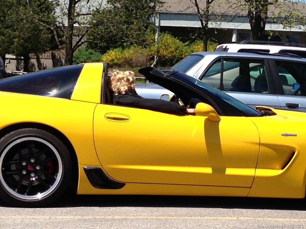 [CrazyPassenger%255B13%255D.jpg]