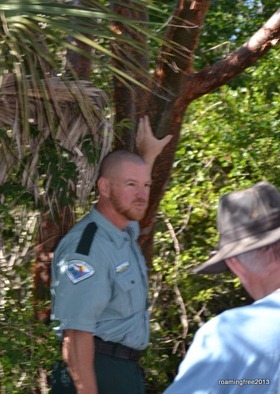 Tourist Trees