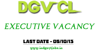 DGVCL Executive 2013