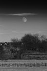 20111106-IMG_3547.jpg