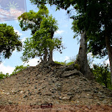 Árvores crescendo em meio ás pedras- Parque Arqueológico Copán - Copán Ruinas - Honduras