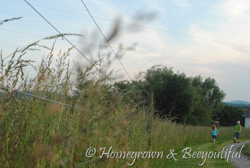 DSC_0073 DSC_0073