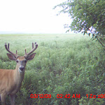 MDGC0035 (2).JPG