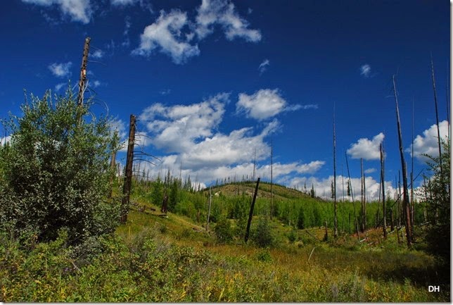 08-28-14 A Camas-Poleridge-North Fork Areas (86)