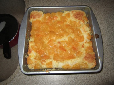 IMG_0970.jpg IMG 0970