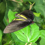 IMG_2553.JPG