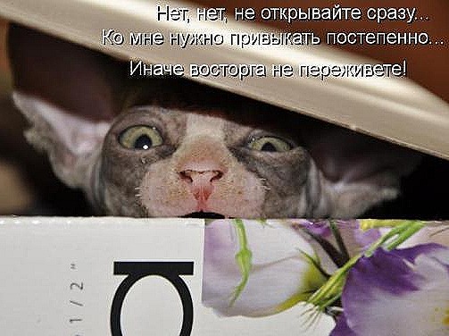 [087e659b1fd335594a894ab08b4_prev%255B5%255D.jpg]