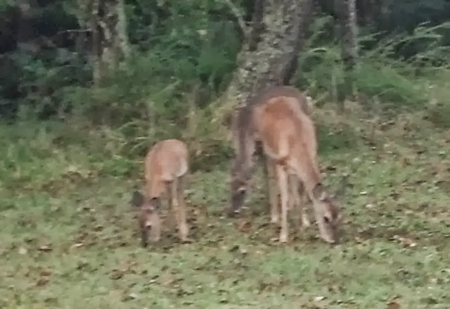 [IMG_20131002_071840_864%255B4%255D.jpg]