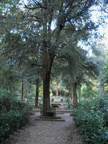 [Bosco%2520Ragnaia%2520136%255B5%255D.jpg]