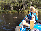 DSC01266.JPG