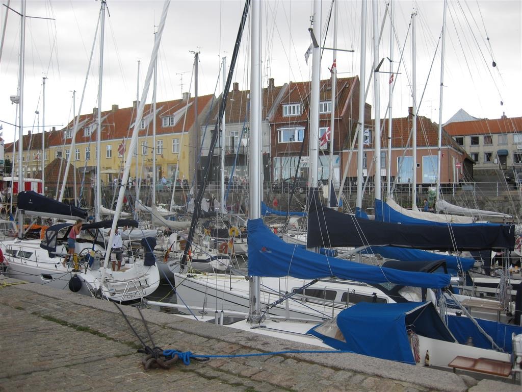[IMG_2301-Medium3.jpg]