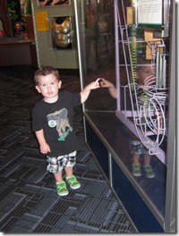 IMG_3943 IMG_3943