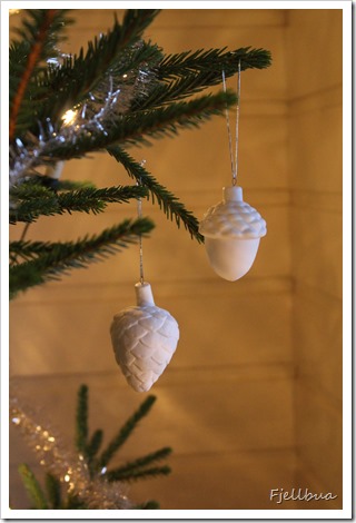 IMG_8750 IMG_8750