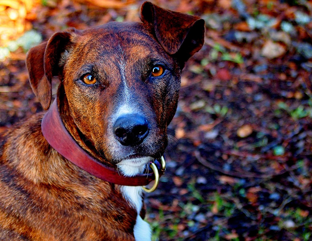 [19%2520Jan%25201-003%255B3%255D.jpg]