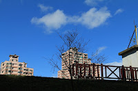 IMG_4390.JPG Photo
