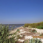 IMG_5668.JPG