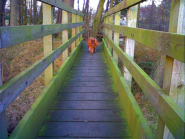 [IMG-20120122-00063%255B6%255D.jpg]