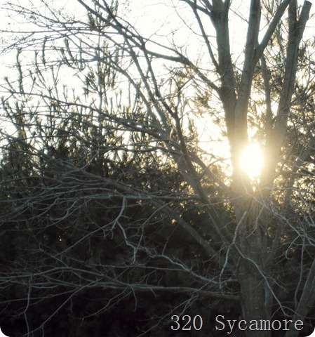 january 2012 046 1