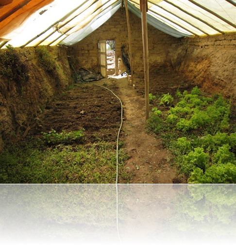 greenhouse underground