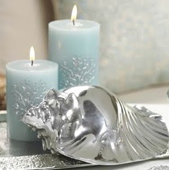 silver-conch-shell from completely coastal silver-conch-shell from completely coastal