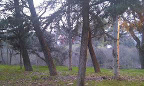IMAG0006.jpg