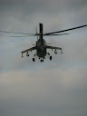 IMG_1149.jpg
