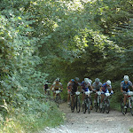 DSC_3477.JPG