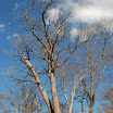 hokkaido_707.jpg
