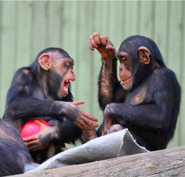 [Picdump%2520-%2520200112%2520-%2520057%255B7%255D.jpg]