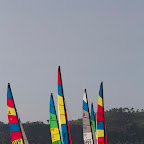 IMG_5247.jpg